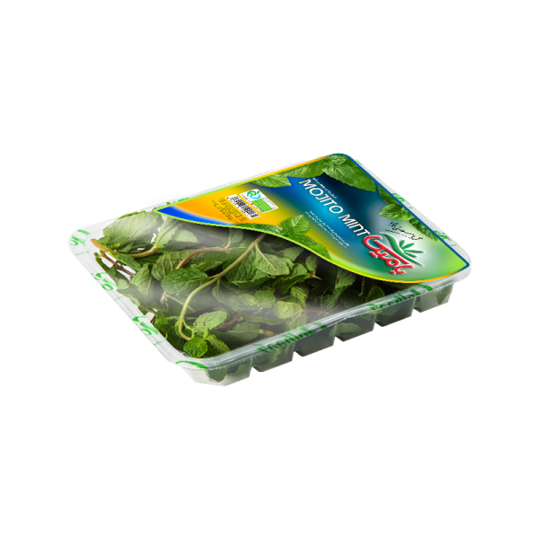 نعناع موهیتو رستورانی بامیکا _ 90 گرمی