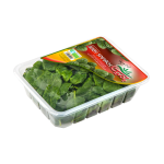 بیبی اسفناج بامییکا _ 100 گرمی