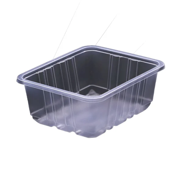 ظرف بسته بندی کد N2-200 ( 500 عددی)